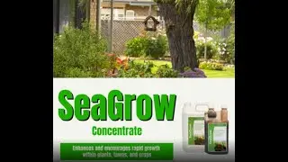 Hydra SeaGrow &ndash; Organic Seaweed Extract Concentrate