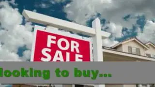 Craigslist Auto Posting Software