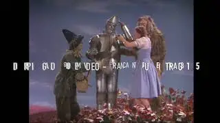 ''Il Mago di Oz'' Victor Fleming - confronto doppiaggi, HOME VIDEO vs RAI