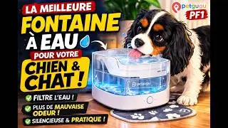Petgugu PF1, the smart water fountain that tracks your dog or cat's hydration
