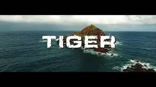 Tiger BMT  - Can I Do It Feat Ty Gemani (Official Video)