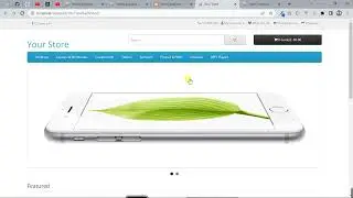 Opencart Sore Locations Locator Google Map