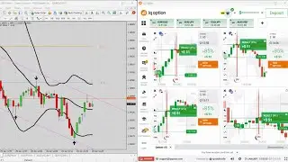 📊 Binary Options Secret 🎯 | Non-Repaint Indicator with 95% Accuracy 💼