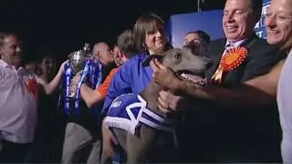 2009 GREYHOUND DERBY FINAL - KINDA READY