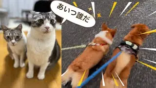 充実した1日なママでした💦
