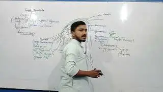 Reproduction | Human Female Reproductive System | Biology | MDCAT | Dr ashar ali