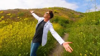 Danny Vee - Better Day (Official Music Video)