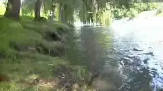 da li sam ja normalan?
