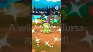 🔥НОВЫЕ КОСТЮМЫ ШАЙНИС И ГАЛАРСКАЯ ПТИЦА🔥 Pokemon GO! #pokemongo #pokemongolive #shinypokemon