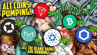 BITCOIN LIVE : ZRX, MKR, ETH, LTC, BCH ON THE MOVE. ALTCOIN FEVER