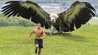 10 Most Unique Birds in the World!