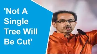 CM Uddhav Thackeray puts construction of car shed in Aarey forest on hold