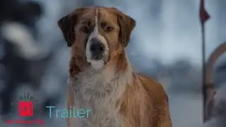 O Chamado da Floresta, Trailer Legendado (2020)