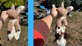 FUZZWOOF Bunny Dog Toy Review