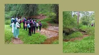 Hike in the Anamalais | Vidhya Vishwalaya