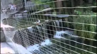 The  Biggest Zoo & Botanical Garden in Europe