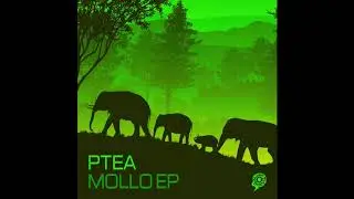 Ptea - Bofelong Original mix