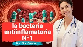 La bacteria que REPARA tu intestino: Akkermansia Muciniphila