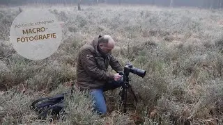 Achter de schermen: MACROFOTOGRAFIE | Zoom