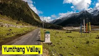 YUMTHANG VALLEY Of Flowers || Lachung to Yumthang Valley || Shingba Rhododendron Sanctuary