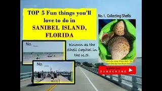 Beautiful Sanibel Island👍 TOP 5 Fun Things that You&rsquo;ll love to do ✔️FLORIDA VACATION SPOT T-1087
