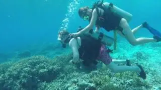 Handicapped Diving on the Solomon Islands at Gizo