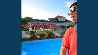 Plis ki zanmi (feat. Larose, Silverman)