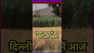 Weather Update: 11 October को कैसा रहेगा Delhi-NCR का मौसम? #tv9d #ytshorts #shorts