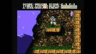 CGRundertow - NINJA GAIDEN II: THE DARK SWORD OF CHAOS for NES Video Game Review