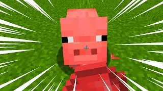 Cursed Minecraft Lets Play Ep1