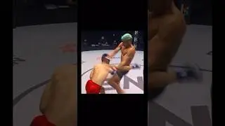 Brutal knee to the BODY #ufc #onechampionship #muaythai #mma