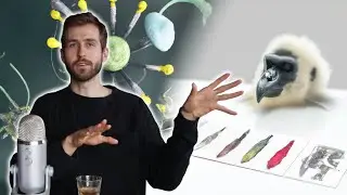 AI as a new WAY of BEING (an evolutionary step forward)