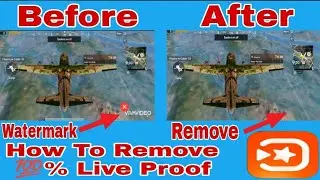 How To Remove Vivavideo watermark For Free