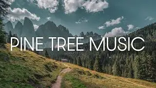 Pine Tree Music &ndash; 1 Hour of Relaxing Plant Music with PlantWave | Recorded in Cinque Torri Dolomites