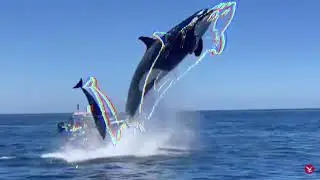 ORCA edit