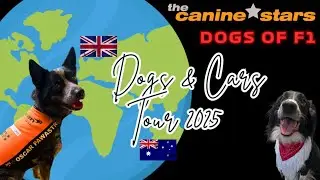 UK to Australia Tour 2025! * Dogs & Cars Tour 2025