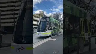 St Vincents Plaza - Route 11 tram to Victoria Harbour Docklands - E class #6006 #tram #melbourne