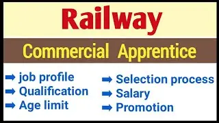 Railway commercial apprentice job profile details in Hindi | RRB ntpc commercial apprentice |