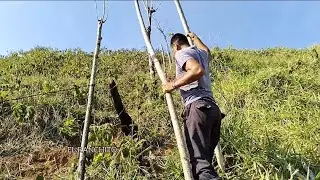 poniendo poste de cocoite en el cerro