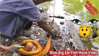 Wow Unique Eel Fish Hook Video by Best Fishing Video in Village Eel Fishing Video