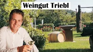 Triebl ist St. Anna am Aigen, frisch fruchtiger Wein im Vulkanland Steiermark & Thermenland