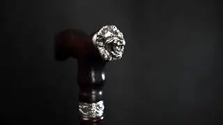 Lion Walking Cane | Unusual Walking Stick for Gentelmen | 3D Review