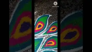 Peacock Kolam♥️❣️♥️❣️ #kolam #peacock 
