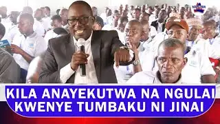 KILA ANAYEKUTWA NA NGULAI KWENYE TUMBAKU YAKE HIYO NI JINAI - KAKOZI 