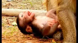 HeartBreaking ! Poor Toni shaking body cry seizure angry mom Siit 0n legs| Toni cry hungry milk.