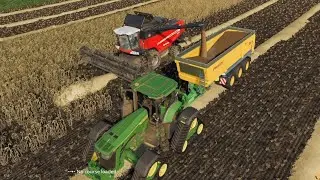 Almosta Farm  EP#4 | Farming Simulator 19 Timelapse | FS19 Timelapse | Harvest