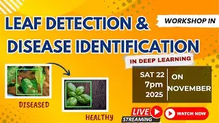 LEAF DETECTION & DISEASE IDENTIFICATION USING DEEP LEARNING #trending #education #ai #deeplearning