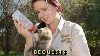 Cango Wildlife Conservation Station