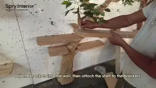 Assembly Tree Bookshelf Guide | Tree Bookshelf for Home Decor | Best Tree Bookshelf 2025