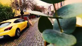 Frankfurt am Main